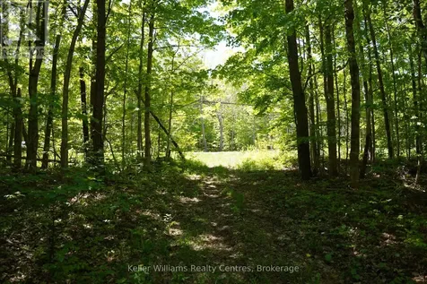 Lot 16 Grey Road 17 Georgian Bluffs ON N0H 2T0