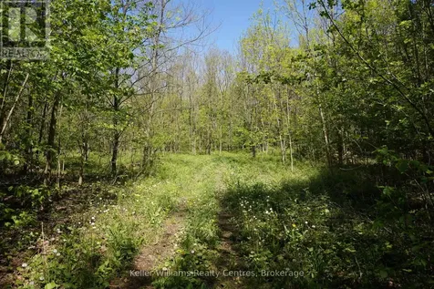 Lot 16 Grey Road 17 Georgian Bluffs ON N0H 2T0