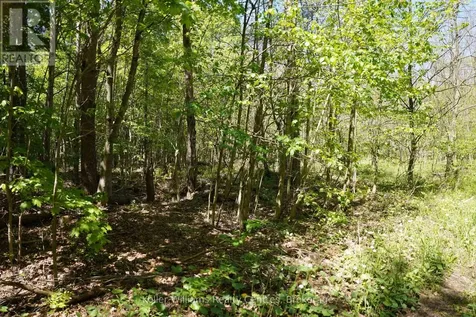 Lot 16 Grey Road 17 Georgian Bluffs ON N0H 2T0