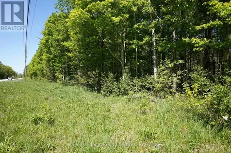 Lot 16 Grey Road 17 Georgian Bluffs ON N0H 2T0