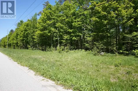 Lot 16 Grey Road 17 Georgian Bluffs ON N0H 2T0