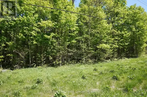 Lot 16 Grey Road 17 Georgian Bluffs ON N0H 2T0