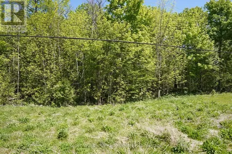 Lot 16 Grey Road 17 Georgian Bluffs ON N0H 2T0