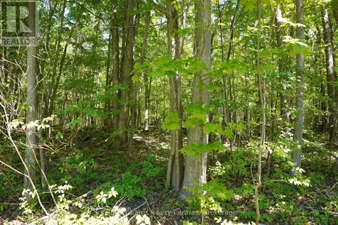 Lot 16 Grey Road 17 Georgian Bluffs ON N0H 2T0