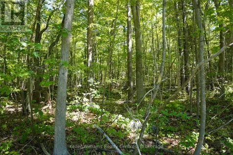 Lot 16 Grey Road 17 Georgian Bluffs ON N0H 2T0