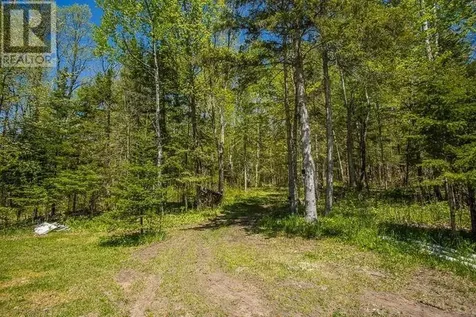 5404 Milford Haven|hilton Township St. Joseph Island ON P0R 1G0