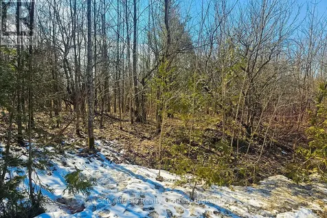 180 Bowles Bluff Road Grey Highlands ON N0C 1H0
