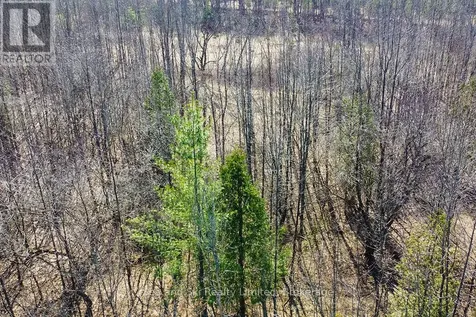 180 Bowles Bluff Road Grey Highlands ON N0C 1H0