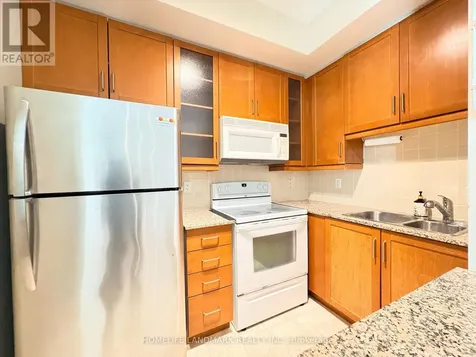60 Byng Avenue Toronto (willowdale East) ON M2N 4K3