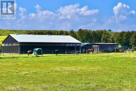 18555 Highway 12 Scugog ON L0C 1B0
