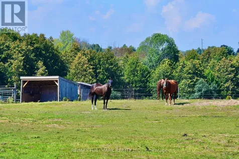 18555 Highway 12 Scugog ON L0C 1B0