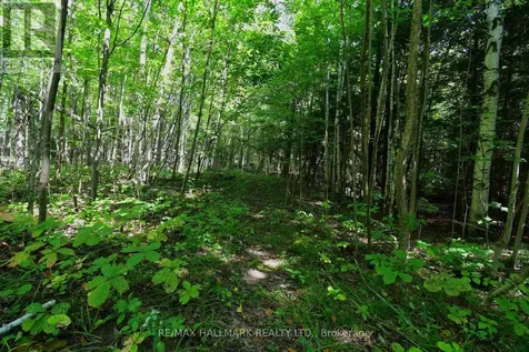 18555 Highway 12 Scugog ON L0C 1B0
