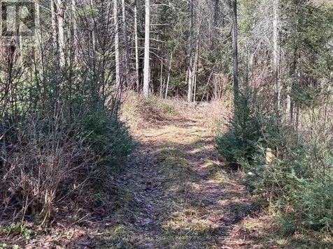 Highway 534 Nipissing ON K0J 0B3
