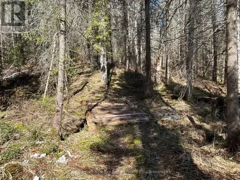 Highway 534 Nipissing ON K0J 0B3