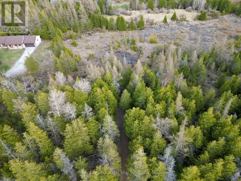 Lot 17 Forbes Road Northern Bruce Peninsula ON N0H 2T0