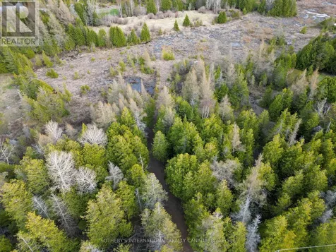 Lot 17 Forbes Road Northern Bruce Peninsula ON N0H 2T0