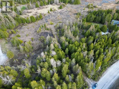 Lot 17 Forbes Road Northern Bruce Peninsula ON N0H 2T0