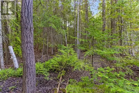 Chi Sin Tib Dek Road Northern Bruce Peninsula ON N0H 2R0