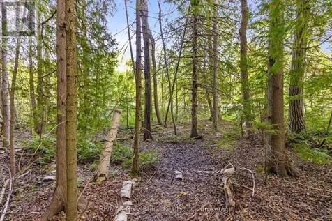 Chi Sin Tib Dek Road Northern Bruce Peninsula ON N0H 2R0