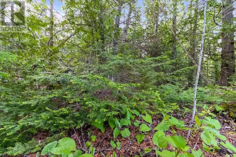 Chi Sin Tib Dek Road Northern Bruce Peninsula ON N0H 2R0