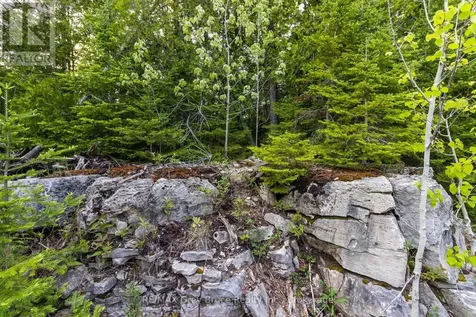 Chi Sin Tib Dek Road Northern Bruce Peninsula ON N0H 2R0