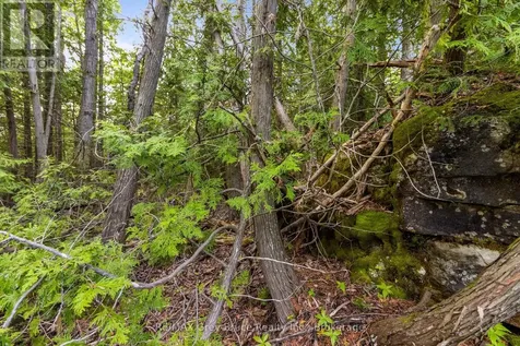 Chi Sin Tib Dek Road Northern Bruce Peninsula ON N0H 2R0