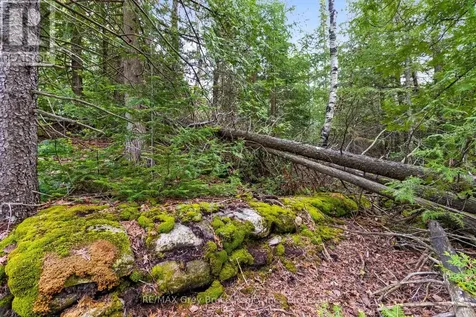 Chi Sin Tib Dek Road Northern Bruce Peninsula ON N0H 2R0