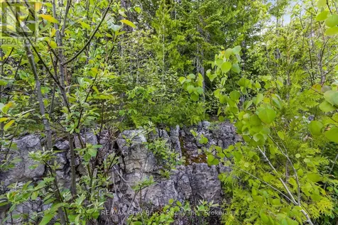 Chi Sin Tib Dek Road Northern Bruce Peninsula ON N0H 2R0