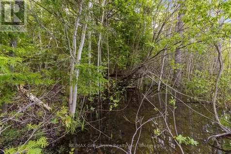 Chi Sin Tib Dek Road Northern Bruce Peninsula ON N0H 2R0