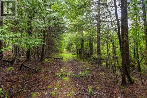 Nicholas Street Northern Bruce Peninsula ON N0H 2R0