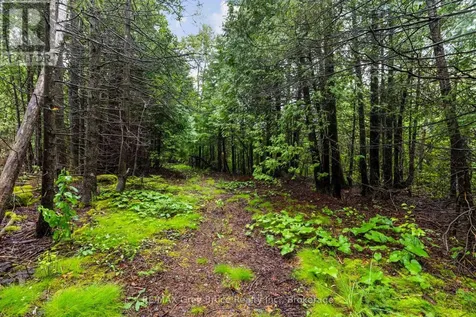 Nicholas Street Northern Bruce Peninsula ON N0H 2R0