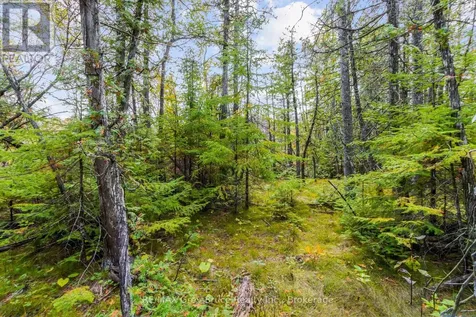 Fm Lt 4 Nicholas Street Northern Bruce Peninsula ON N0H 2R0