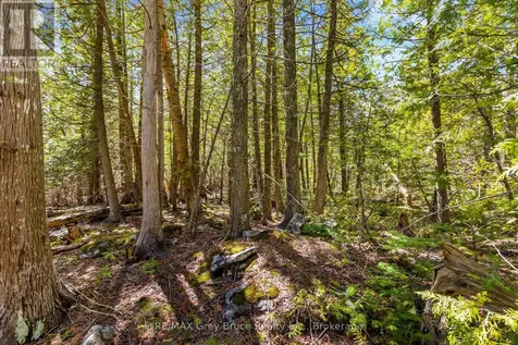 Chi Sin Tib Dek Road Northern Bruce Peninsula ON N0H 2R0