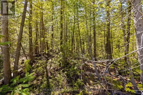 Chi Sin Tib Dek Road Northern Bruce Peninsula ON N0H 2R0