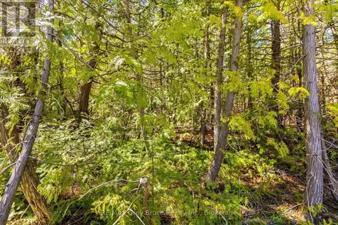 Chi Sin Tib Dek Road Northern Bruce Peninsula ON N0H 2R0