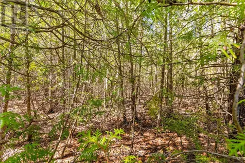 Chi Sin Tib Dek Road Northern Bruce Peninsula ON N0H 2R0