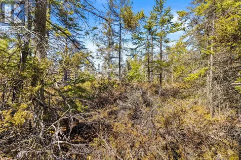 Pt Fm Lt 4 Chi Sin Tib Dek Road Northern Bruce Peninsula ON N0H 2R0