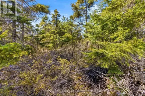 Pt Fm Lt 4 Chi Sin Tib Dek Road Northern Bruce Peninsula ON N0H 2R0