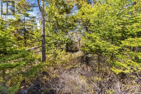 Pt Fm Lt 4 Chi Sin Tib Dek Road Northern Bruce Peninsula ON N0H 2R0