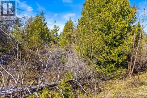 Chi Sin Tib Dek Road Northern Bruce Peninsula ON N0H 2R0