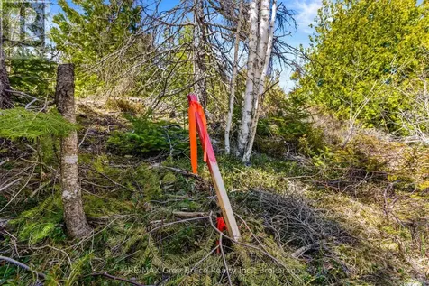 Chi Sin Tib Dek Road Northern Bruce Peninsula ON N0H 2R0