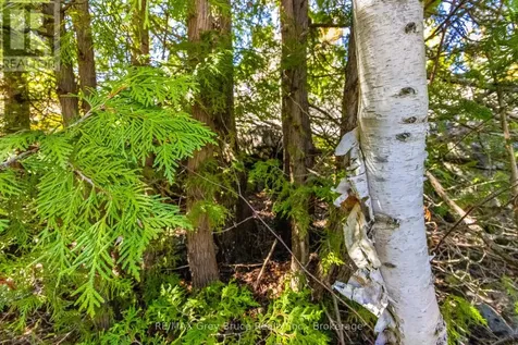 Chi Sin Tib Dek Road Northern Bruce Peninsula ON N0H 2R0