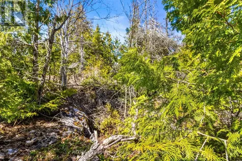 Chi Sin Tib Dek Road Northern Bruce Peninsula ON N0H 2R0