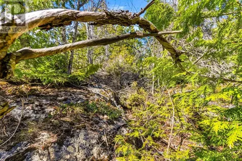 Chi Sin Tib Dek Road Northern Bruce Peninsula ON N0H 2R0
