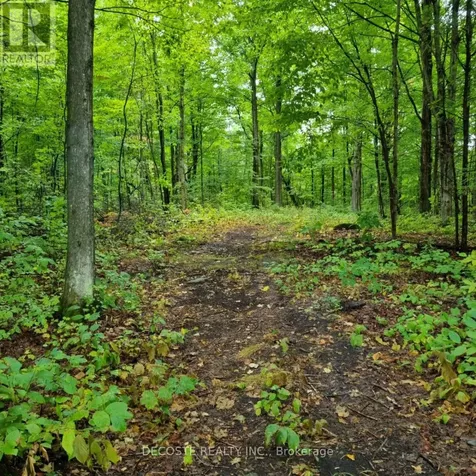21950 Concession 10 Road South Glengarry ON K0B 1H0