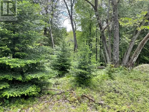 Lot 4 Smith Island Callander ON P0H 1H0
