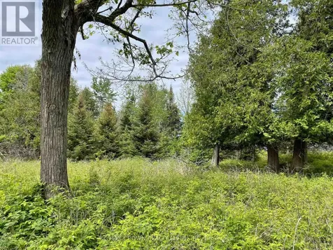 Lot 4 Smith Island Callander ON P0H 1H0