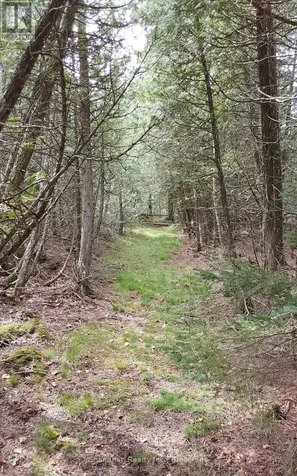 579 Cape Hurd Road Northern Bruce Peninsula ON N0H 2R0