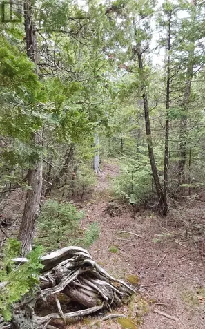 579 Cape Hurd Road Northern Bruce Peninsula ON N0H 2R0