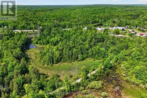 17224 Highway 62 Madoc ON K0K 1Y0